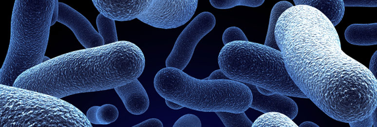 tratamiento legionella paterna